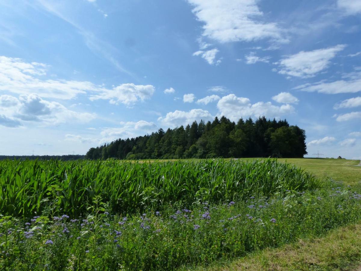 Landgasthaus Sonne ฟรอยเดนชตัดท์ ภายนอก รูปภาพ